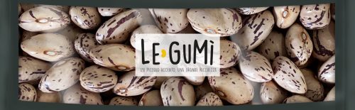 fagioli-borlotti-lamon con logo